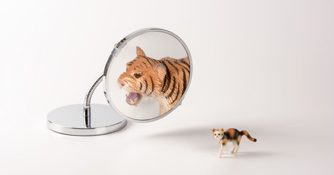 Cách để đối phó với sự tự tin quá mức trong Poker